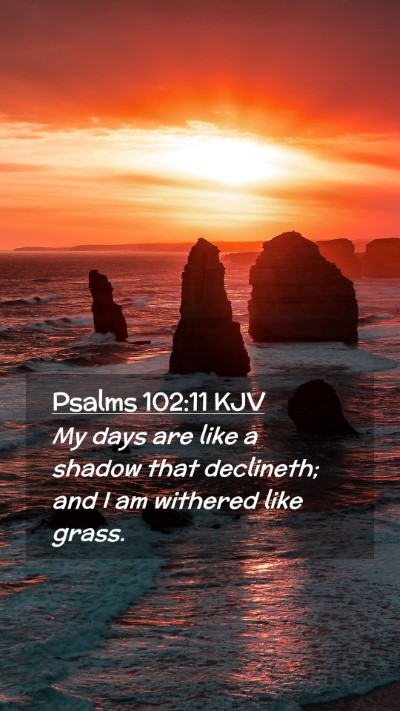 Picture 02 - Psalms 102:11 KJV Mobile Phone Wallpaper - My days are like a shadow that declineth; and I - Mobile Bible Verse Wallpaper