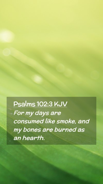 Picture 02 - Psalms 102:3 KJV Mobile Phone Wallpaper - For my days are consumed like smoke, and my bones - Mobile Bible Verse Wallpaper