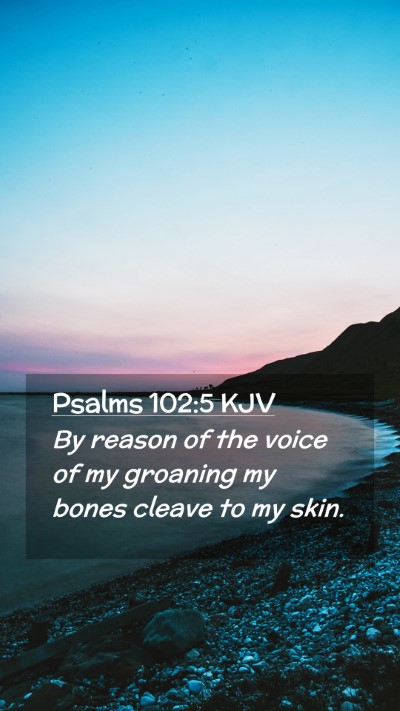 Picture 02 - Psalms 102:5 KJV Mobile Phone Wallpaper - By reason of the voice of my groaning my bones - Mobile Bible Verse Wallpaper