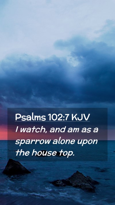 Picture 02 - Psalms 102:7 KJV Mobile Phone Wallpaper - I watch, and am as a sparrow alone upon the house - Mobile Bible Verse Wallpaper
