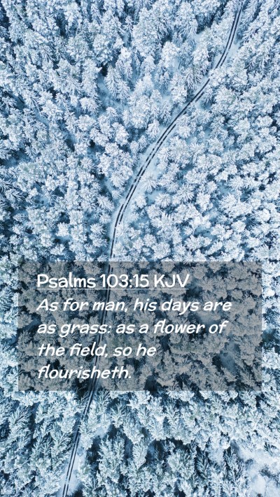Picture 02 - Psalms 103:15 KJV Mobile Phone Wallpaper - As for man, his days are as grass: as a flower of - Mobile Bible Verse Wallpaper