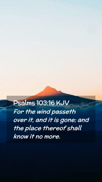 Picture 02 - Psalms 103:16 KJV Mobile Phone Wallpaper - For the wind passeth over it, and it is gone; and - Mobile Bible Verse Wallpaper