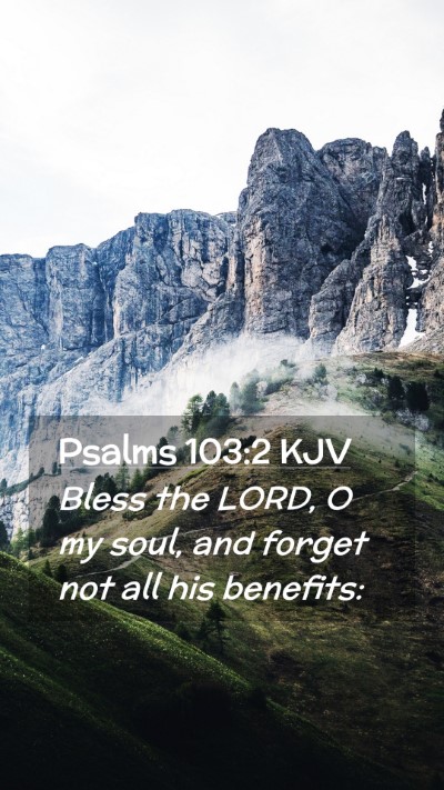 Picture 02 - Psalms 103:2 KJV Mobile Phone Wallpaper - Bless the LORD, O my soul, and forget not all his - Mobile Bible Verse Wallpaper