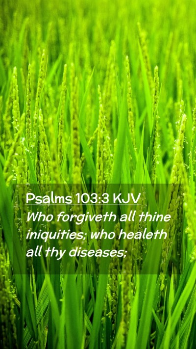 Picture 02 - Psalms 103:3 KJV Mobile Phone Wallpaper - Who forgiveth all thine iniquities; who healeth - Mobile Bible Verse Wallpaper