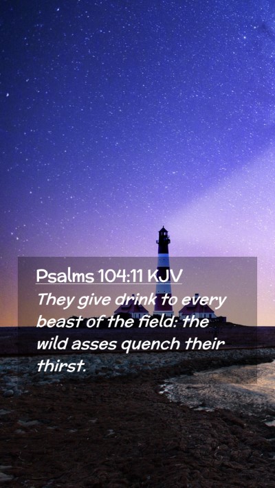 Picture 02 - Psalms 104:11 KJV Mobile Phone Wallpaper - They give drink to every beast of the field: the - Mobile Bible Verse Wallpaper