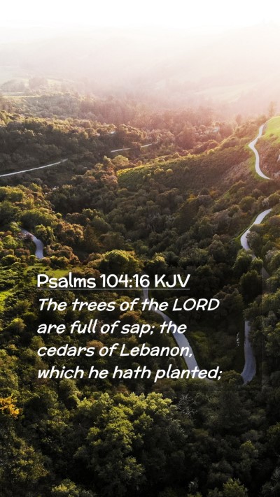 Picture 02 - Psalms 104:16 KJV Mobile Phone Wallpaper - The trees of the LORD are full of sap; the cedars - Mobile Bible Verse Wallpaper