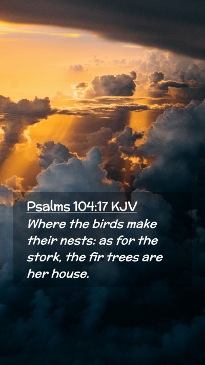Picture 02 - Psalms 104:17 KJV Mobile Phone Wallpaper - Where the birds make their nests: as for the - Mobile Bible Verse Wallpaper