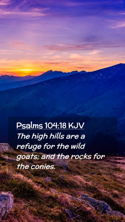 Picture 02 - Psalms 104:18 KJV Mobile Phone Wallpaper - The high hills are a refuge for the wild goats; - Mobile Bible Verse Wallpaper