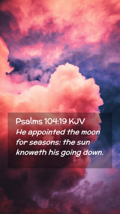 Picture 02 - Psalms 104:19 KJV Mobile Phone Wallpaper - He appointed the moon for seasons: the sun - Mobile Bible Verse Wallpaper