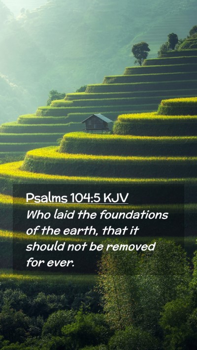 Picture 02 - Psalms 104:5 KJV Mobile Phone Wallpaper - Who laid the foundations of the earth, that it - Mobile Bible Verse Wallpaper