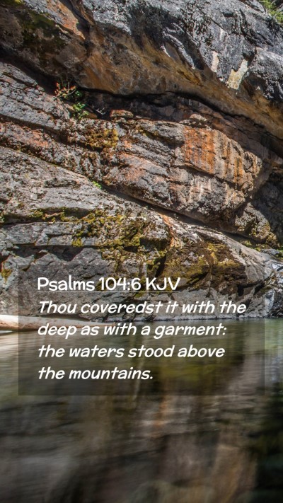 Picture 02 - Psalms 104:6 KJV Mobile Phone Wallpaper - Thou coveredst it with the deep as with a - Mobile Bible Verse Wallpaper