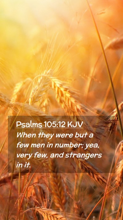 Picture 02 - Psalms 105:12 KJV Mobile Phone Wallpaper - When they were but a few men in number; yea, very - Mobile Bible Verse Wallpaper