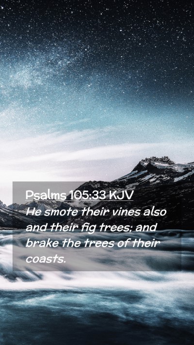 Picture 02 - Psalms 105:33 KJV Mobile Phone Wallpaper - He smote their vines also and their fig trees; - Mobile Bible Verse Wallpaper