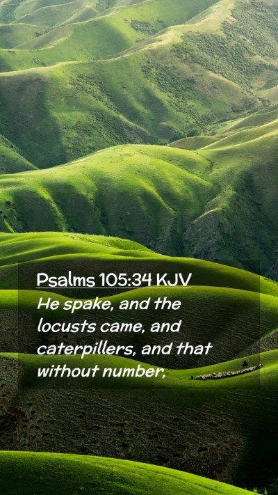 Picture 02 - Psalms 105:34 KJV Mobile Phone Wallpaper - He spake, and the locusts came, and caterpillers, - Mobile Bible Verse Wallpaper