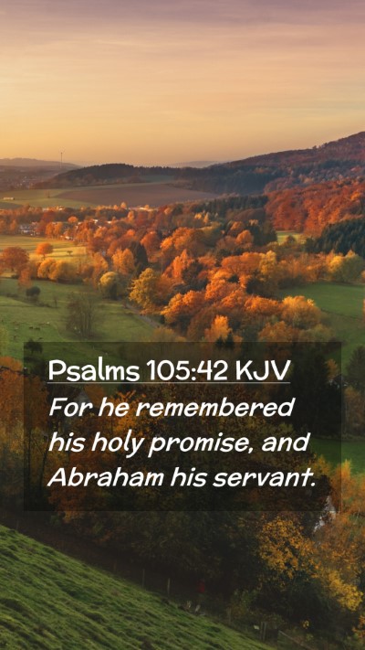 Picture 02 - Psalms 105:42 KJV Mobile Phone Wallpaper - For he remembered his holy promise, and Abraham - Mobile Bible Verse Wallpaper