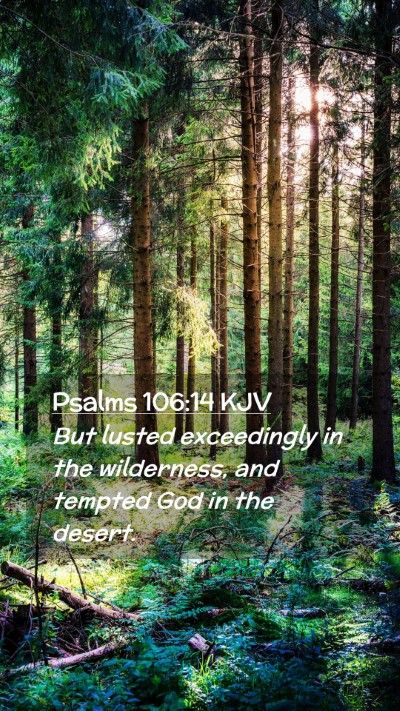 Picture 02 - Psalms 106:14 KJV Mobile Phone Wallpaper - But lusted exceedingly in the wilderness, and - Mobile Bible Verse Wallpaper