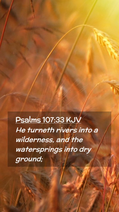Picture 02 - Psalms 107:33 KJV Mobile Phone Wallpaper - He turneth rivers into a wilderness, and the - Mobile Bible Verse Wallpaper