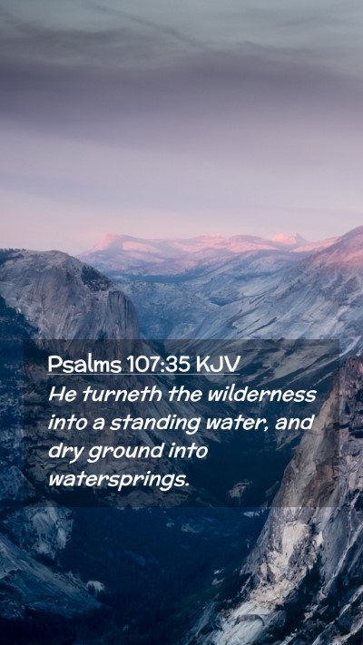 Picture 02 - Psalms 107:35 KJV Mobile Phone Wallpaper - He turneth the wilderness into a standing water, - Mobile Bible Verse Wallpaper