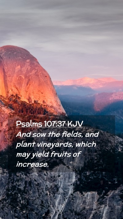 Picture 02 - Psalms 107:37 KJV Mobile Phone Wallpaper - And sow the fields, and plant vineyards, which - Mobile Bible Verse Wallpaper