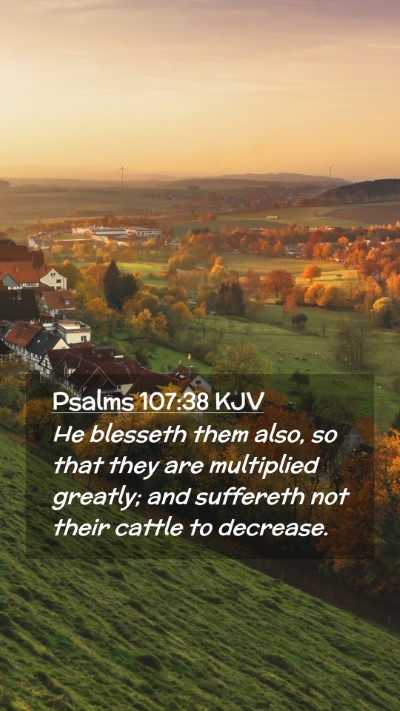 Picture 02 - Psalms 107:38 KJV Mobile Phone Wallpaper - He blesseth them also, so that they are - Mobile Bible Verse Wallpaper