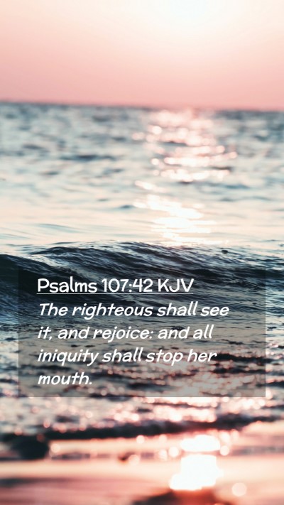 Picture 02 - Psalms 107:42 KJV Mobile Phone Wallpaper - The righteous shall see it, and rejoice: and all - Mobile Bible Verse Wallpaper