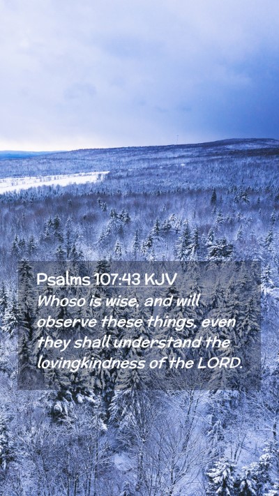 Picture 02 - Psalms 107:43 KJV Mobile Phone Wallpaper - Whoso is wise, and will observe these things, - Mobile Bible Verse Wallpaper