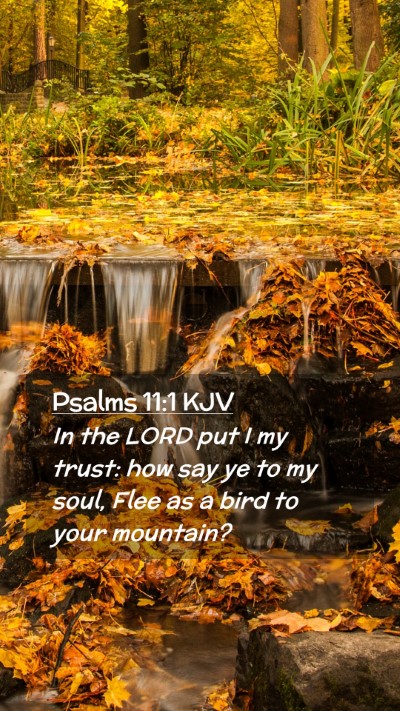 Picture 02 - Psalms 11:1 KJV Mobile Phone Wallpaper - In the LORD put I my trust: how say ye to my - Mobile Bible Verse Wallpaper