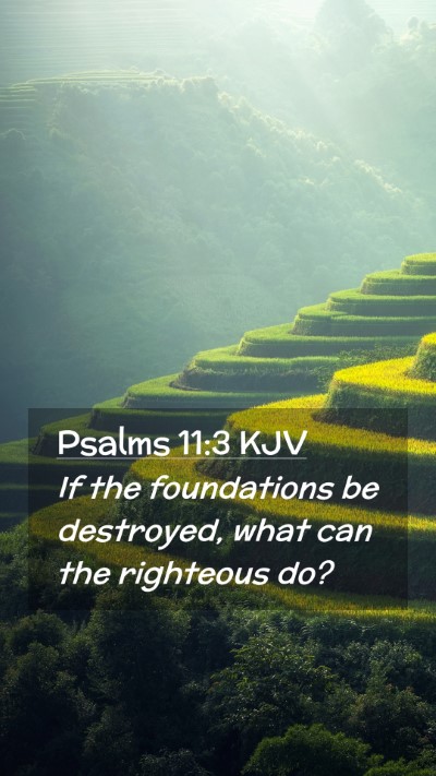 Picture 02 - Psalms 11:3 KJV Mobile Phone Wallpaper - If the foundations be destroyed, what can the - Mobile Bible Verse Wallpaper
