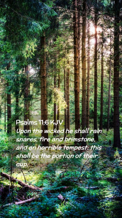 Picture 02 - Psalms 11:6 KJV Mobile Phone Wallpaper - Upon the wicked he shall rain snares, fire and - Mobile Bible Verse Wallpaper