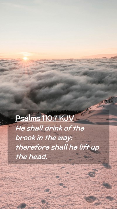 Picture 02 - Psalms 110:7 KJV Mobile Phone Wallpaper - He shall drink of the brook in the way: therefore - Mobile Bible Verse Wallpaper