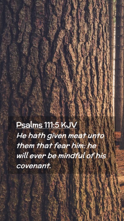 Picture 02 - Psalms 111:5 KJV Mobile Phone Wallpaper - He hath given meat unto them that fear him: he - Mobile Bible Verse Wallpaper