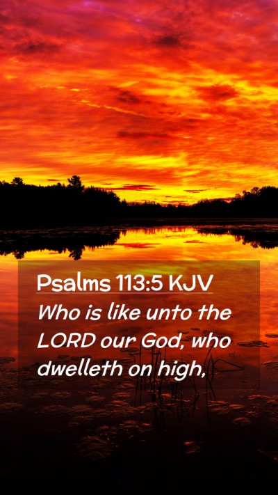 Picture 02 - Psalms 113:5 KJV Mobile Phone Wallpaper - Who is like unto the LORD our God, who dwelleth - Mobile Bible Verse Wallpaper
