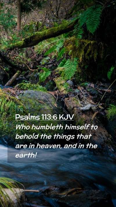 Picture 02 - Psalms 113:6 KJV Mobile Phone Wallpaper - Who humbleth himself to behold the things that - Mobile Bible Verse Wallpaper