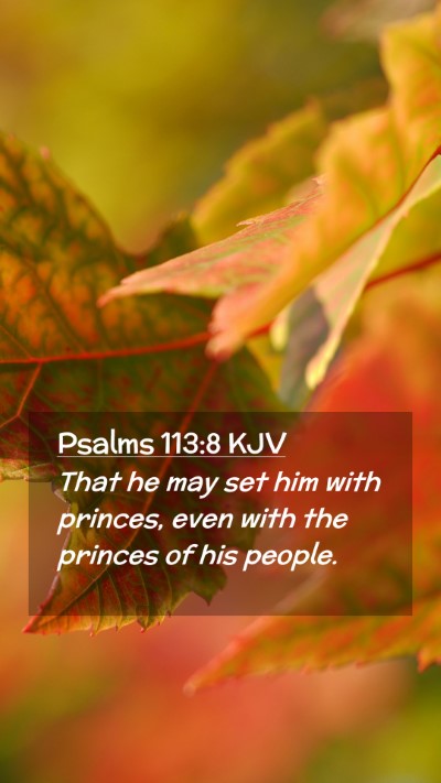 Picture 02 - Psalms 113:8 KJV Mobile Phone Wallpaper - That he may set him with princes, even with the - Mobile Bible Verse Wallpaper