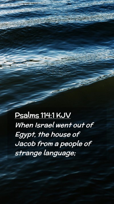 Picture 02 - Psalms 114:1 KJV Mobile Phone Wallpaper - When Israel went out of Egypt, the house of Jacob - Mobile Bible Verse Wallpaper