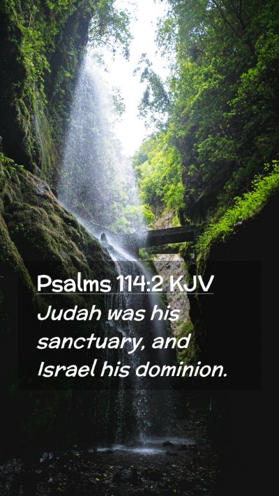 Picture 02 - Psalms 114:2 KJV Mobile Phone Wallpaper - Judah was his sanctuary, and Israel his - Mobile Bible Verse Wallpaper