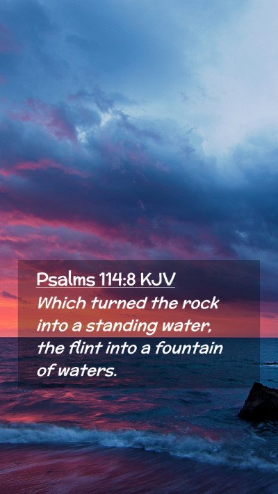 Picture 02 - Psalms 114:8 KJV Mobile Phone Wallpaper - Which turned the rock into a standing water, the - Mobile Bible Verse Wallpaper