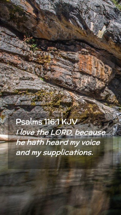 Picture 02 - Psalms 116:1 KJV Mobile Phone Wallpaper - I love the LORD, because he hath heard my voice - Mobile Bible Verse Wallpaper