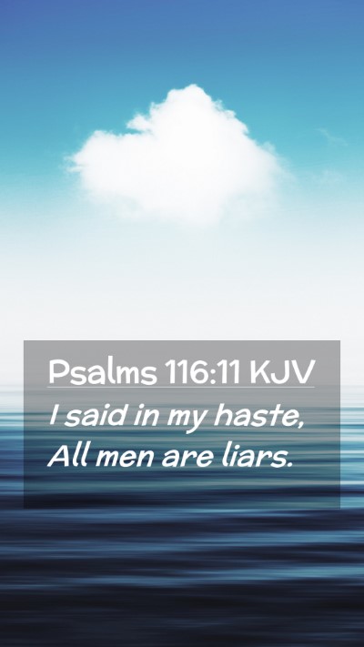 Picture 02 - Psalms 116:11 KJV Mobile Phone Wallpaper - I said in my haste, All men are - Mobile Bible Verse Wallpaper