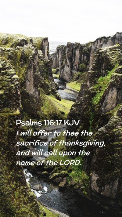 Picture 02 - Psalms 116:17 KJV Mobile Phone Wallpaper - I will offer to thee the sacrifice of - Mobile Bible Verse Wallpaper