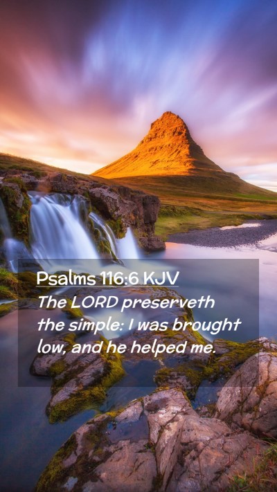 Picture 02 - Psalms 116:6 KJV Mobile Phone Wallpaper - The LORD preserveth the simple: I was brought - Mobile Bible Verse Wallpaper
