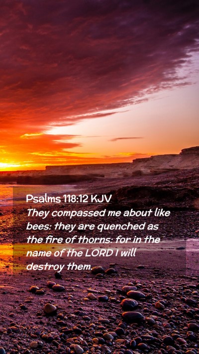 Picture 02 - Psalms 118:12 KJV Mobile Phone Wallpaper - They compassed me about like bees: they are - Mobile Bible Verse Wallpaper