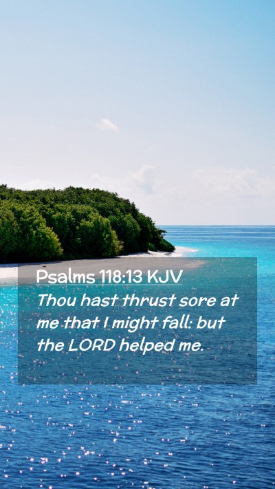 Picture 02 - Psalms 118:13 KJV Mobile Phone Wallpaper - Thou hast thrust sore at me that I might fall: - Mobile Bible Verse Wallpaper