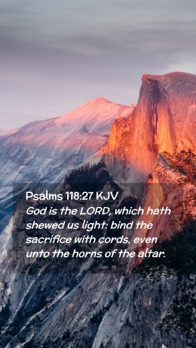 Picture 02 - Psalms 118:27 KJV Mobile Phone Wallpaper - God is the LORD, which hath shewed us light: bind - Mobile Bible Verse Wallpaper