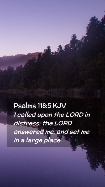 Picture 02 - Psalms 118:5 KJV Mobile Phone Wallpaper - I called upon the LORD in distress: the LORD - Mobile Bible Verse Wallpaper