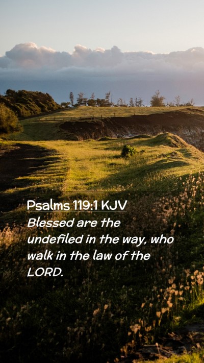 Picture 02 - Psalms 119:1 KJV Mobile Phone Wallpaper - Blessed are the undefiled in the way, who walk in - Mobile Bible Verse Wallpaper