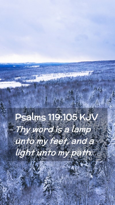 Picture 02 - Psalms 119:105 KJV Mobile Phone Wallpaper - Thy word is a lamp unto my feet, and a light unto - Mobile Bible Verse Wallpaper
