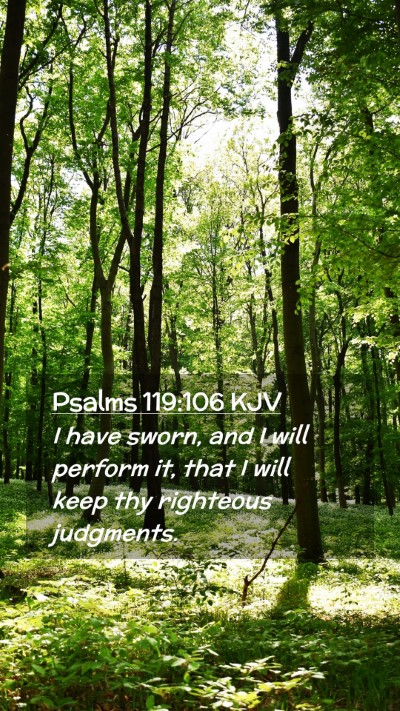 Picture 02 - Psalms 119:106 KJV Mobile Phone Wallpaper - I have sworn, and I will perform it, that I will - Mobile Bible Verse Wallpaper