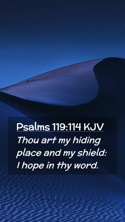 Picture 02 - Psalms 119:114 KJV Mobile Phone Wallpaper - Thou art my hiding place and my shield: I hope in - Mobile Bible Verse Wallpaper