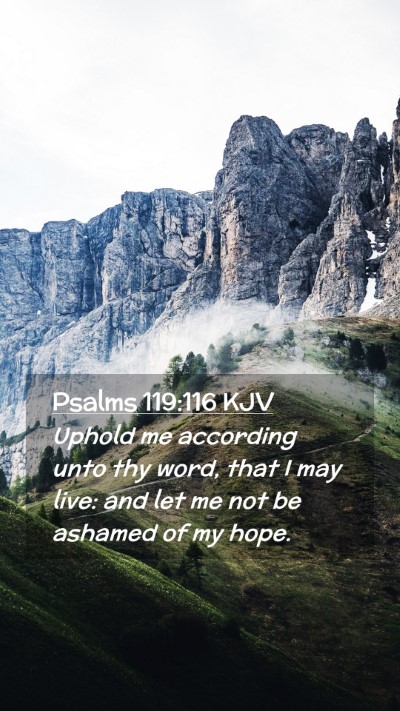 Picture 02 - Psalms 119:116 KJV Mobile Phone Wallpaper - Uphold me according unto thy word, that I may - Mobile Bible Verse Wallpaper